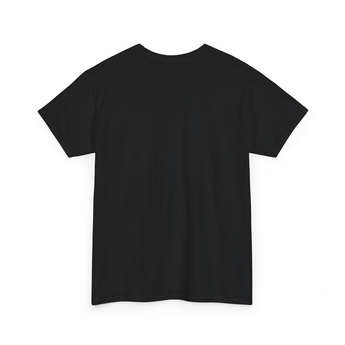 Adult t-shirt. Color: Black.